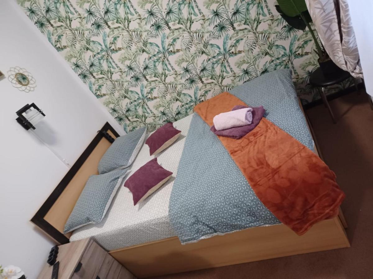 Studios Republicii Braşov Dış mekan fotoğraf